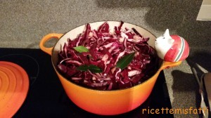red cabbage 1