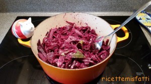 braised spicy red cabbage